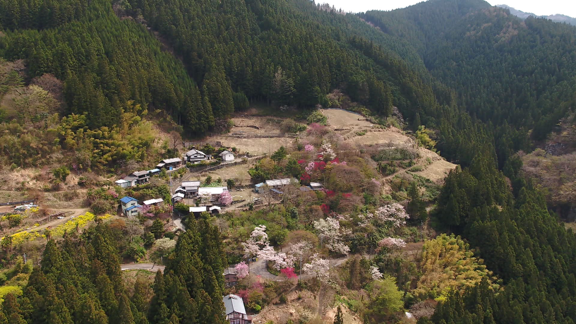 花のあとさき ムツばあさんの歩いた道 - 上田映劇