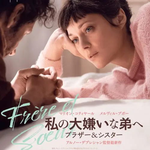 週末特価　くまのアーネストおじさんとセレスティーヌ　映画&シリーズ6本　DVD 楽天ブックス: くまのアーネストおじさんとセレスティーヌ