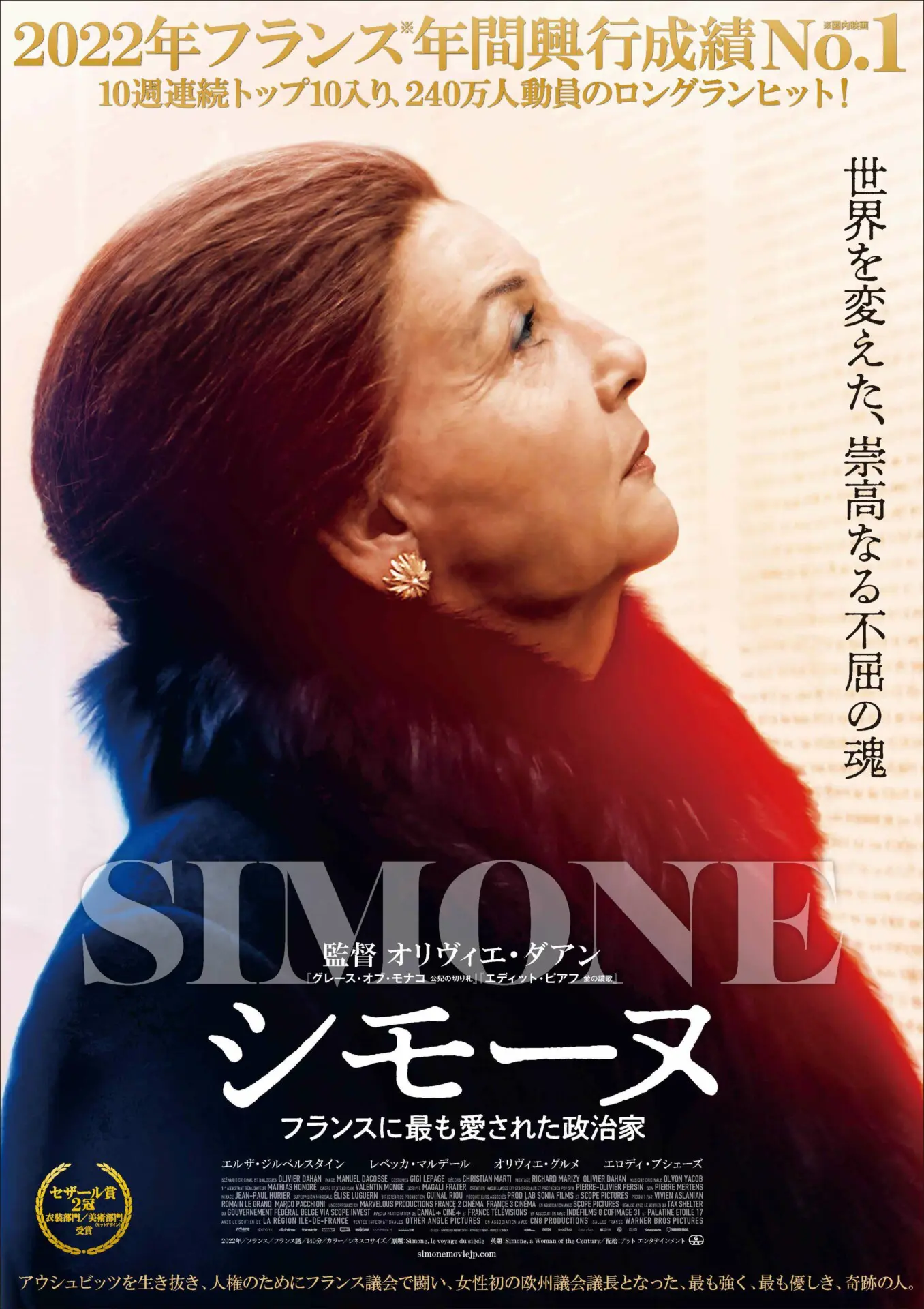 シモーヌ フランスに最も愛された政治家 - 上田映劇