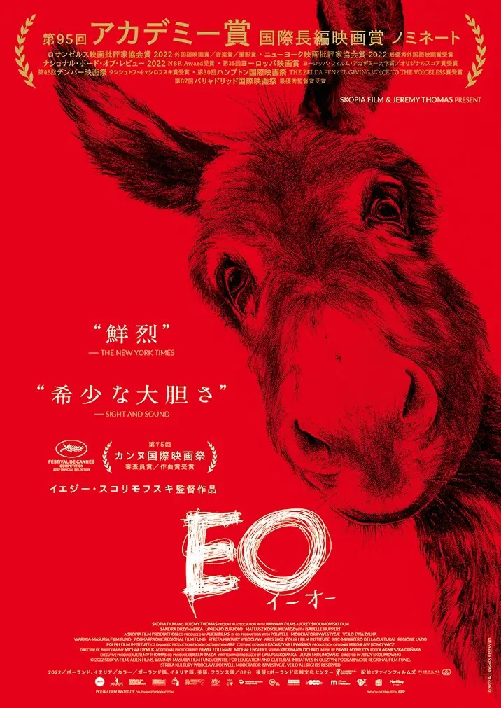 「イーダ」パヴェウ・パヴリコフスキ監督 DVD イーダ」パヴェウ・パヴリコフスキ監督 DVD - メルカリ