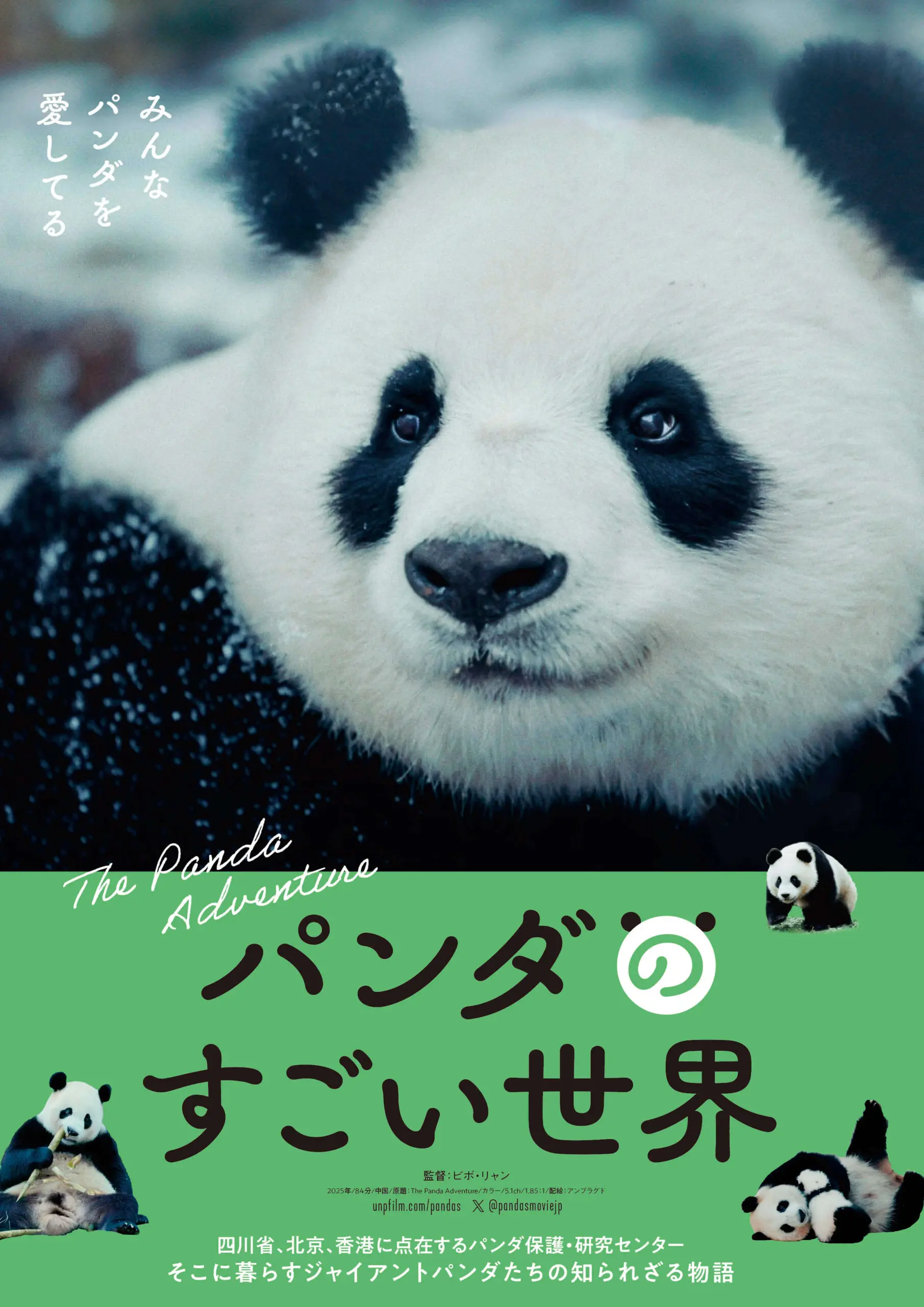 パンダのすごい世界【3/13~】*日本語吹替版／「週末こども映画館