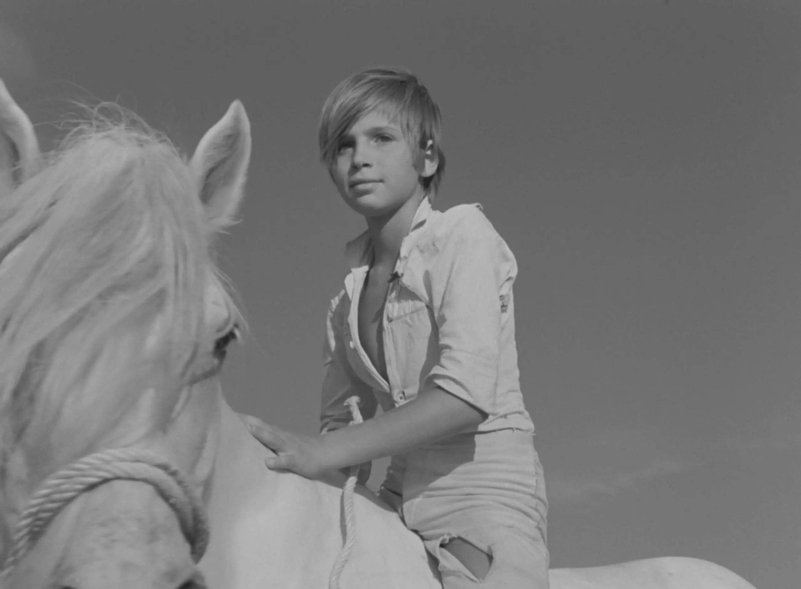 赤い風船 4K』『白い馬 4K』【3/6~12】 - 上田映劇