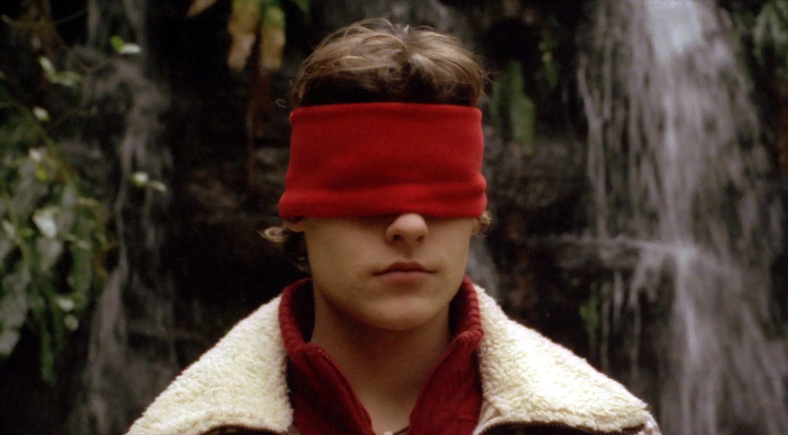 ミゲル・ゴメス アーリーワークス - 上田映劇