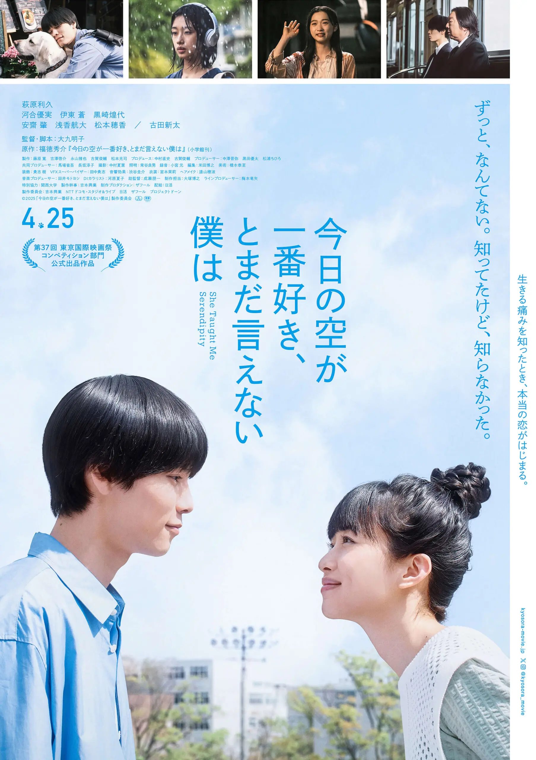 ○　映画　今日の空が一番好き、とまだ言えない僕は　パンフレット　A13 Amazon.co.jp: [日活] 映画 今日の空が一番好き、とまだ言えない