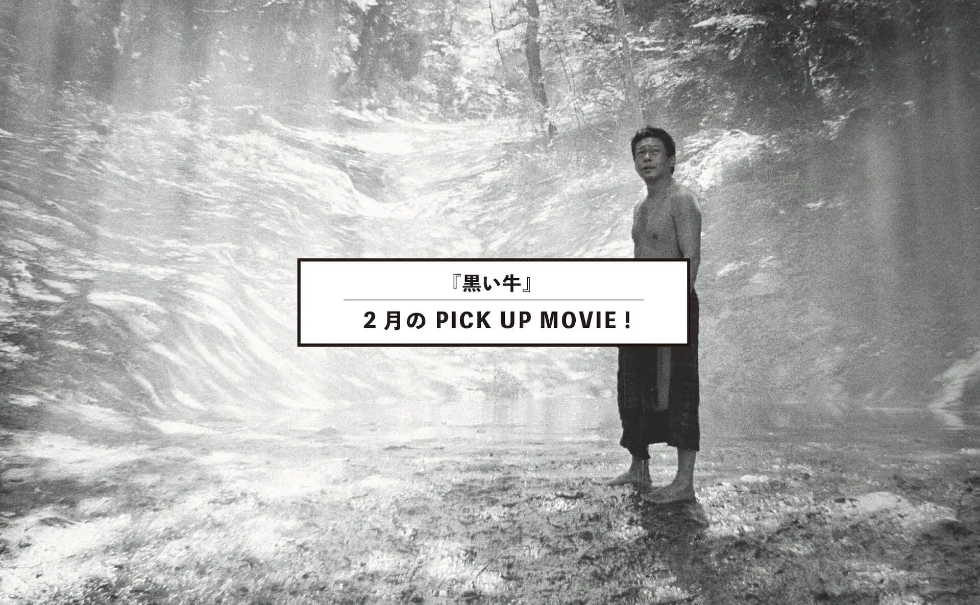 2月の PICK UP MOVIE !『黒の牛』“大自然と共に生きるということ